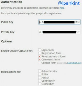 Setting plugin Google Captcha